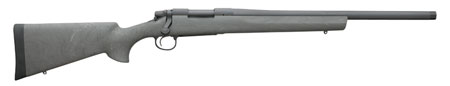 REM Arms Firearms R84204 700 SPS